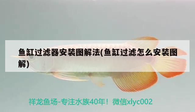 魚缸過濾器安裝圖解法(魚缸過濾怎么安裝圖解) 水族用品