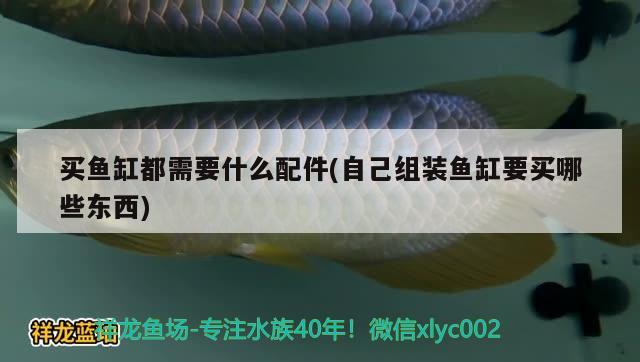 買魚缸都需要什么配件(自己組裝魚缸要買哪些東西) 白子黃化銀龍魚