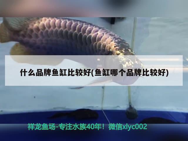 什么品牌魚缸比較好(魚缸哪個(gè)品牌比較好) 水族維護(hù)服務(wù)（上門）