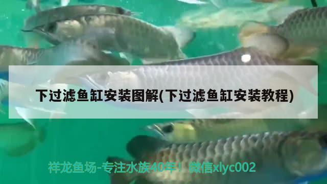 福州魚缸廠家直銷電話多少（閩江魚缸廠家直銷） 其他品牌魚缸 第1張