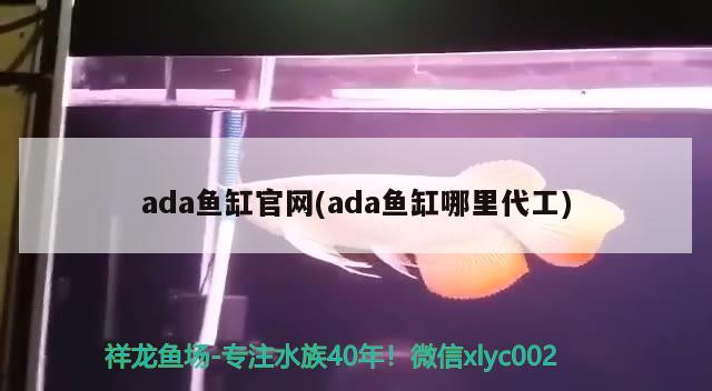 ada魚缸官網(wǎng)(ada魚缸哪里代工)