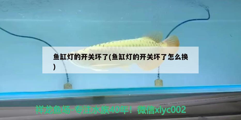 魚缸燈的開關(guān)壞了(魚缸燈的開關(guān)壞了怎么換) 野彩魚