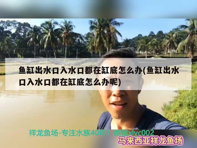 魚缸出水口入水口都在缸底怎么辦(魚缸出水口入水口都在缸底怎么辦呢)