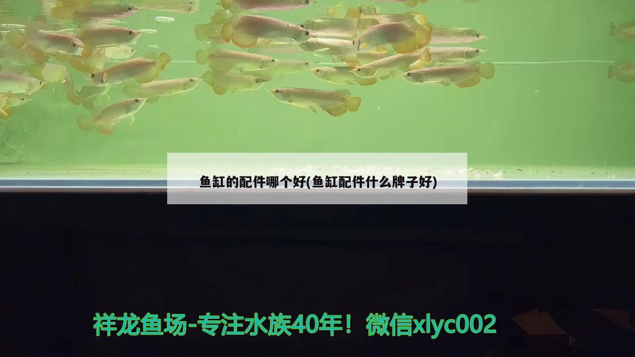 魚(yú)缸的配件哪個(gè)好(魚(yú)缸配件什么牌子好)