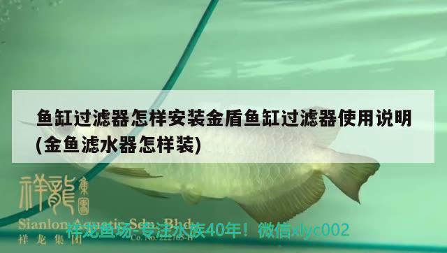 魚缸過濾器怎樣安裝金盾魚缸過濾器使用說明(金魚濾水器怎樣裝) 魟魚百科