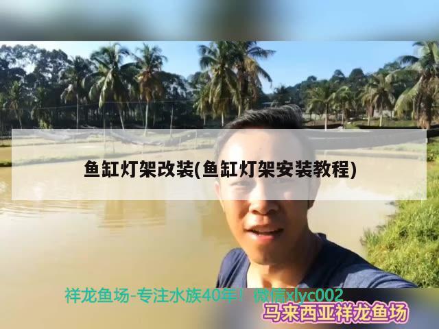 妞哥海洋館勞動(dòng)最光榮吉林長(zhǎng)春小軒的下海折騰史 白子銀龍魚(yú)苗 第3張