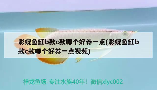 彩蝶魚缸b款c款哪個好養(yǎng)一點(彩蝶魚缸b款c款哪個好養(yǎng)一點視頻)