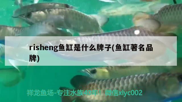 risheng魚缸是什么牌子(魚缸著名品牌)