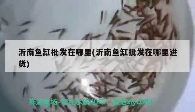 石頭魚缸的魅力尋找石頭魚缸廠家電話號碼的方法，哪里有賣石頭魚缸的廠家電話號碼及哪里有賣石頭魚缸廠家電話號碼 巨骨舌魚 第1張