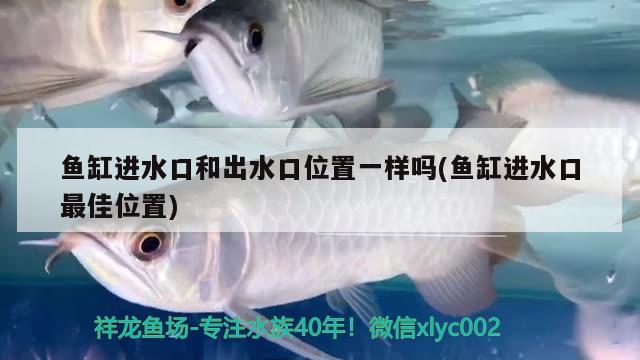 魚缸進水口和出水口位置一樣嗎(魚缸進水口最佳位置) 銀古魚苗 第2張