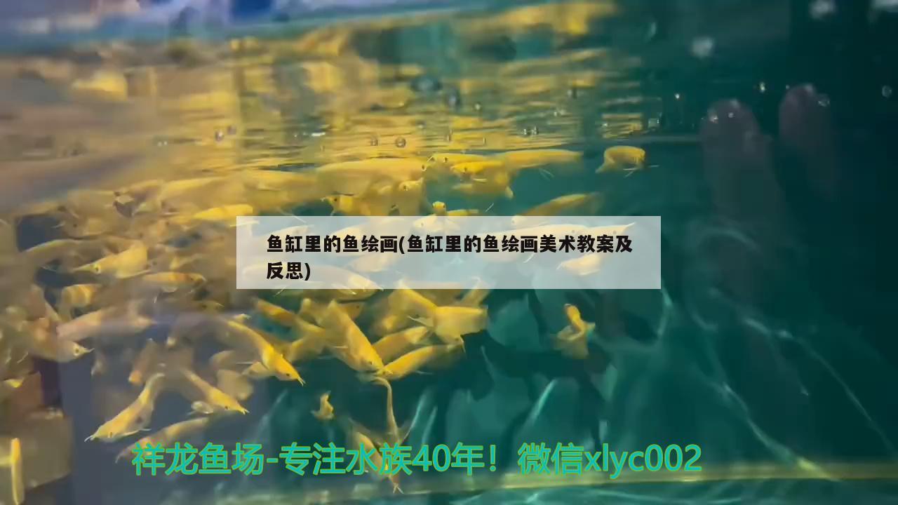 魚缸里的魚繪畫(魚缸里的魚繪畫美術(shù)教案及反思) 魚糧魚藥 第2張