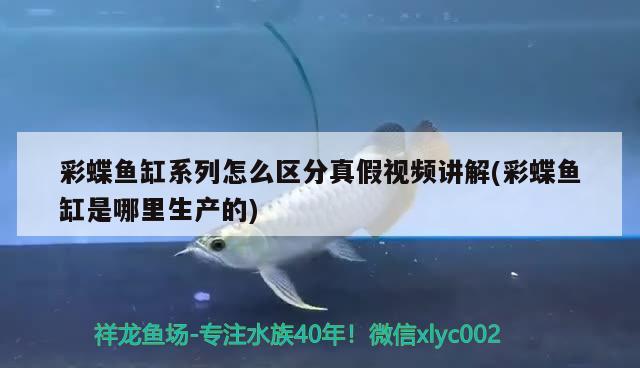 彩蝶魚(yú)缸系列怎么區(qū)分真假視頻講解(彩蝶魚(yú)缸是哪里生產(chǎn)的)