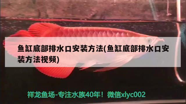 魚缸底部排水口安裝方法(魚缸底部排水口安裝方法視頻)