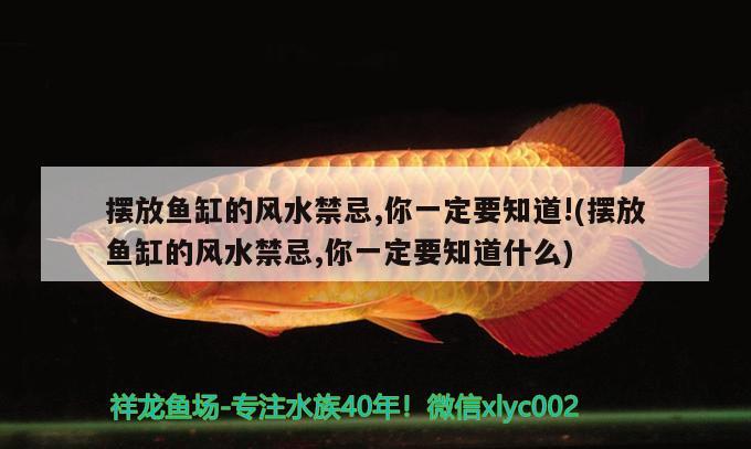 帝王三間玻利維亞鳳凰，為何美國流行病漢坦病毒出現(xiàn)在山東至云南路上 帝王三間魚 第1張