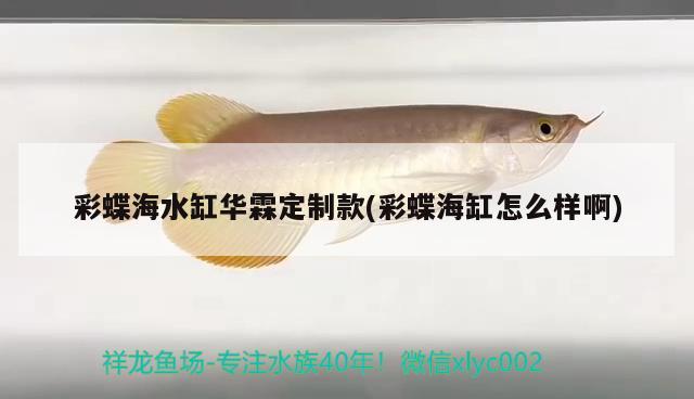 皇冠六間魚可以混養(yǎng)小魚嗎，金龍魚能和什么魚混養(yǎng)是不是最好單獨(dú)養(yǎng)