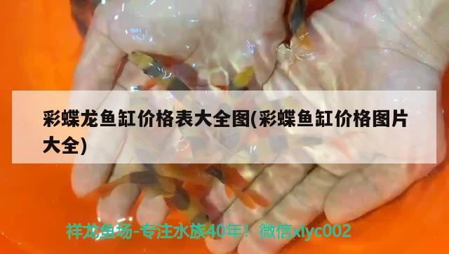 彩蝶龍魚缸價格表大全圖(彩蝶魚缸價格圖片大全) 紅勾銀版魚