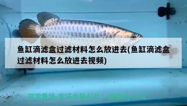 魚缸滴濾盒過(guò)濾材料怎么放進(jìn)去(魚缸滴濾盒過(guò)濾材料怎么放進(jìn)去視頻) 祥龍水族濾材/器材