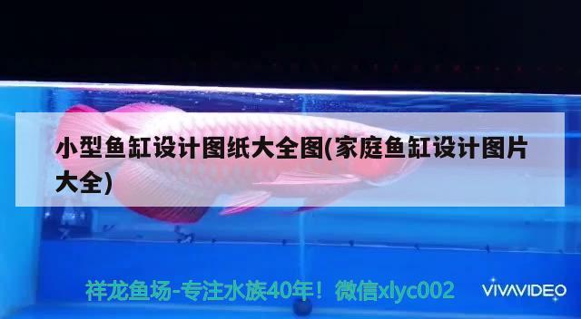 清苑區(qū)魚趣水族店：打造您的水族世界（保定清苑區(qū)魚趣水族店：打造您的水族世界清苑區(qū)魚趣水族店） 全國(guó)水族館企業(yè)名錄 第3張