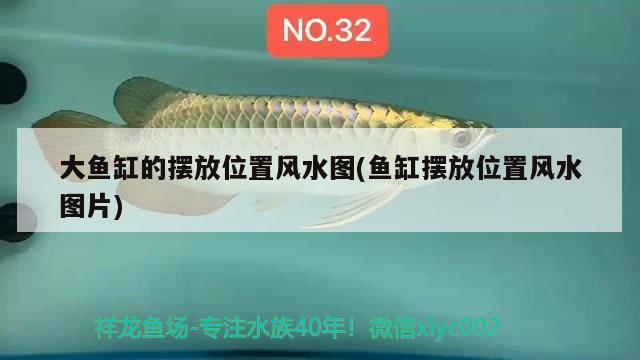 大魚缸的擺放位置風(fēng)水圖(魚缸擺放位置風(fēng)水圖片)