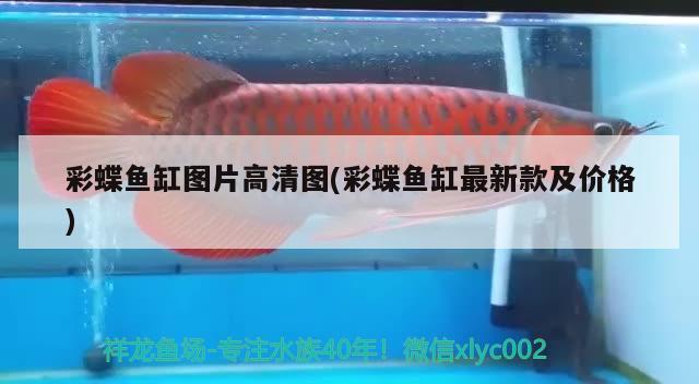 彩蝶魚缸圖片高清圖(彩蝶魚缸最新款及價(jià)格) 帝王血鉆