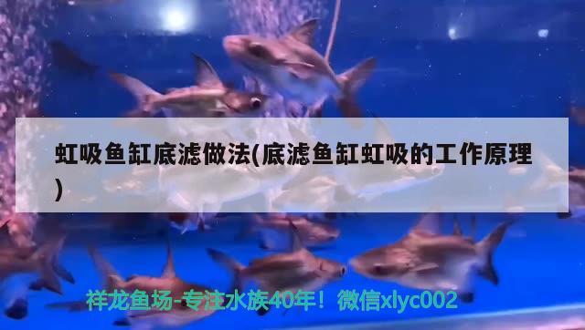 虹吸魚缸底濾做法(底濾魚缸虹吸的工作原理)