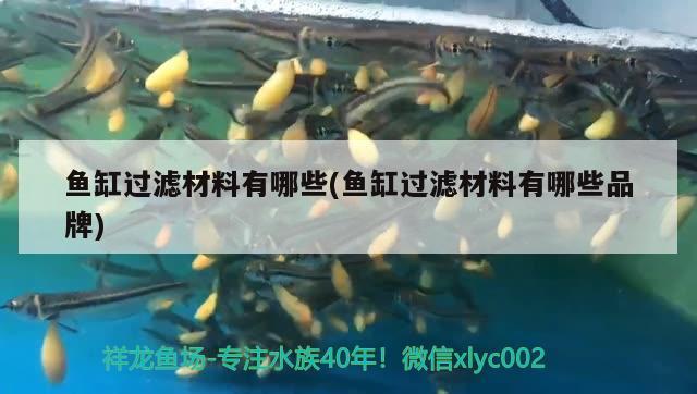 魚缸過濾材料有哪些(魚缸過濾材料有哪些品牌)