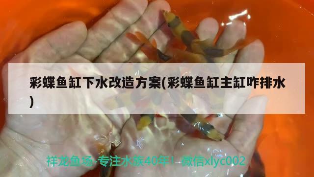 彩蝶魚缸下水改造方案(彩蝶魚缸主缸咋排水)