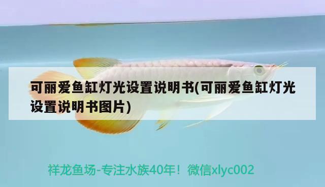 可麗愛魚缸燈光設(shè)置說明書(可麗愛魚缸燈光設(shè)置說明書圖片) 戰(zhàn)車紅龍魚 第2張