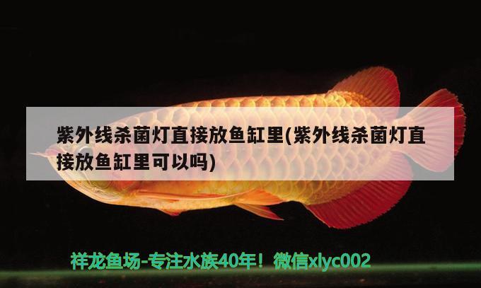 紫外線殺菌燈直接放魚缸里(紫外線殺菌燈直接放魚缸里可以嗎)