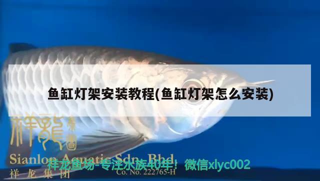 魚缸燈架安裝教程(魚缸燈架怎么安裝) 金龍魚糧