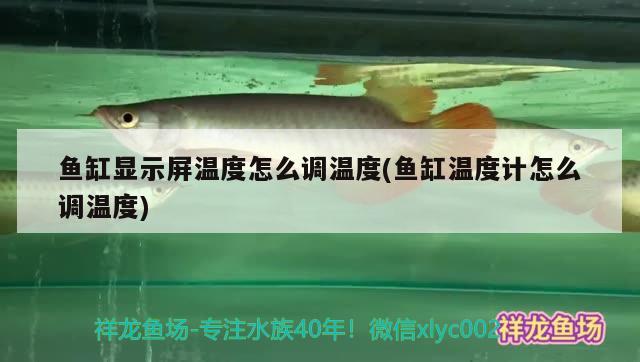 魚缸顯示屏溫度怎么調(diào)溫度(魚缸溫度計怎么調(diào)溫度) 朱巴利魚