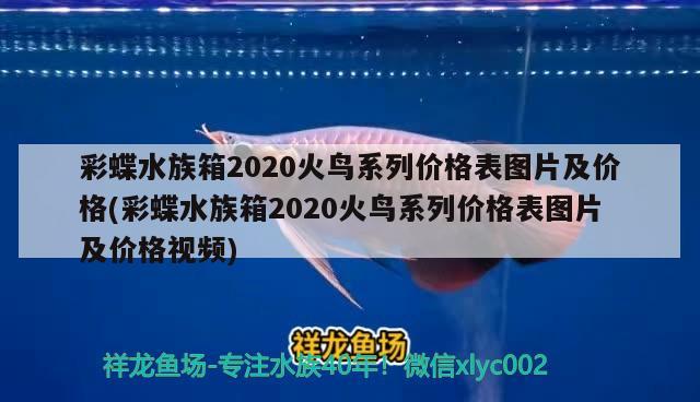 彩蝶水族箱2020火鳥(niǎo)系列價(jià)格表圖片及價(jià)格(彩蝶水族箱2020火鳥(niǎo)系列價(jià)格表圖片及價(jià)格視頻) 魚(yú)缸/水族箱