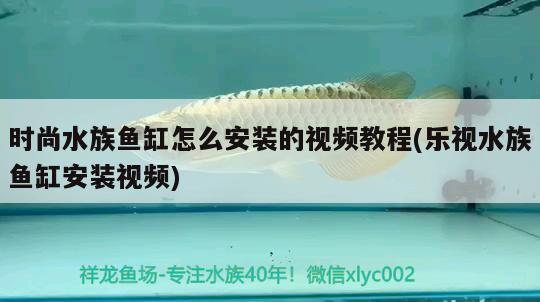 時(shí)尚水族魚(yú)缸怎么安裝的視頻教程(樂(lè)視水族魚(yú)缸安裝視頻)