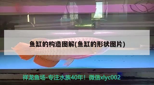 長沙魚缸定制哪家好（長沙市魚缸制作廠家） 其他品牌魚缸