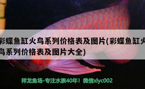 魚缸柜子圖片及價格圖集，，魚缸柜子價格圖片及價格圖集 斯維尼關刀魚 第2張