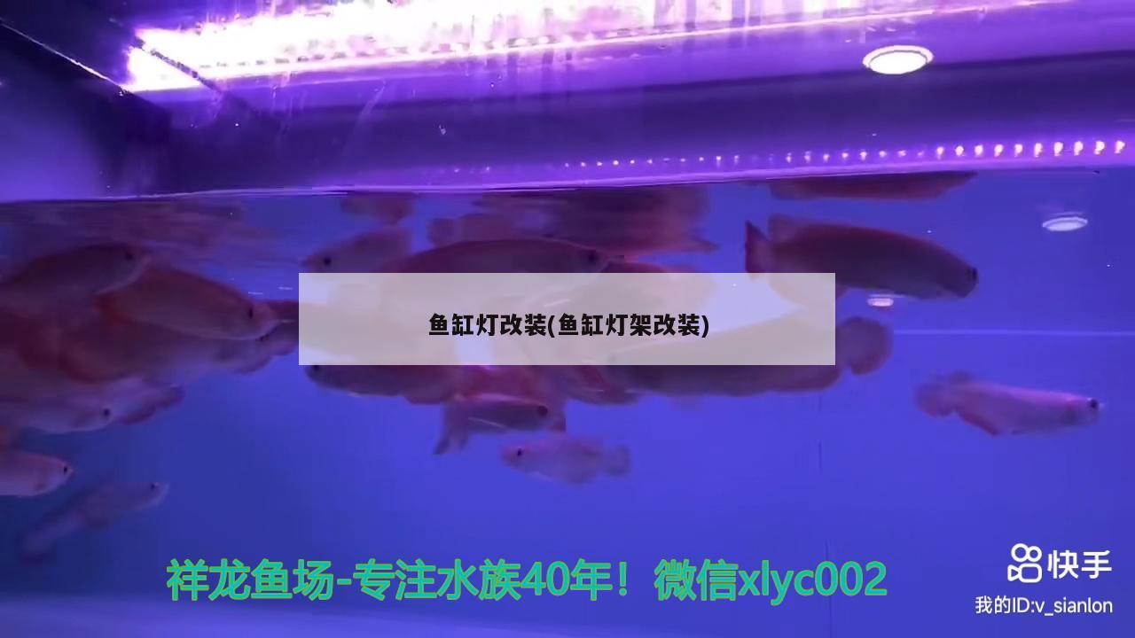 魚缸燈改裝(魚缸燈架改裝) 羽毛刀魚苗