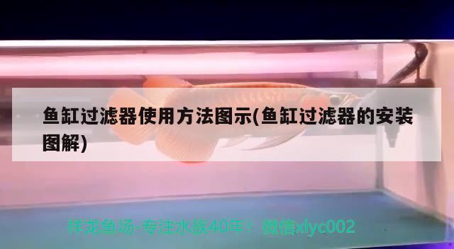 魚缸過濾器使用方法圖示(魚缸過濾器的安裝圖解)