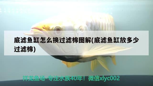 底濾魚(yú)缸怎么換過(guò)濾棉圖解(底濾魚(yú)缸放多少過(guò)濾棉) 委內(nèi)瑞拉奧里諾三間魚(yú)苗