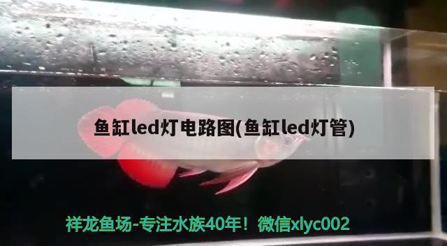 魚缸led燈電路圖(魚缸led燈管)