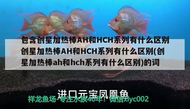 包含創(chuàng)星加熱棒AH和HCH系列有什么區(qū)別創(chuàng)星加熱棒AH和HCH系列有什么區(qū)別(創(chuàng)星加熱棒ah和hch系列有什么區(qū)別)的詞條 帝王三間魚