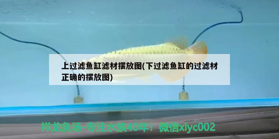 上過(guò)濾魚(yú)缸濾材擺放圖(下過(guò)濾魚(yú)缸的過(guò)濾材正確的擺放圖) 水族用品