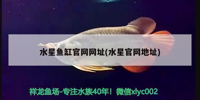 水星魚缸官網(wǎng)網(wǎng)址(水星官網(wǎng)地址) 古典過背金龍魚