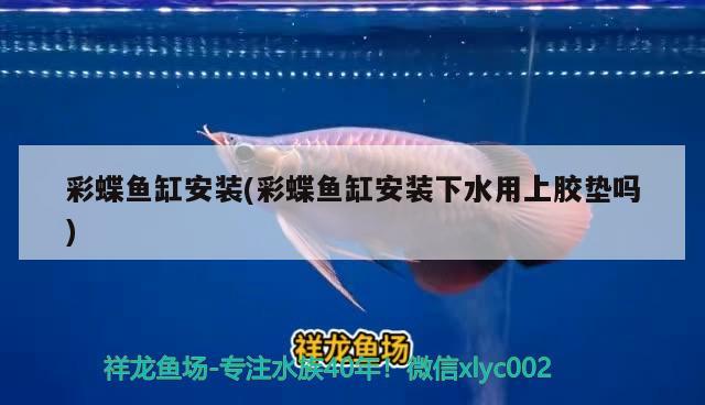 彩蝶魚缸安裝(彩蝶魚缸安裝下水用上膠墊嗎)