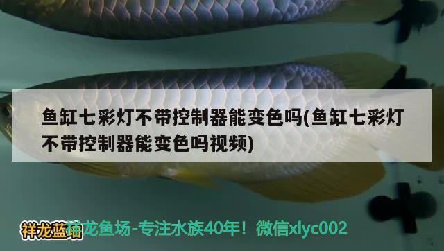 魚缸七彩燈不帶控制器能變色嗎(魚缸七彩燈不帶控制器能變色嗎視頻)