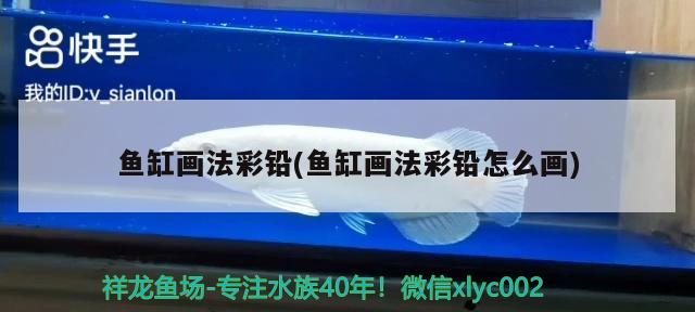 魚(yú)缸畫(huà)法彩鉛(魚(yú)缸畫(huà)法彩鉛怎么畫(huà)) 月光鴨嘴魚(yú)苗