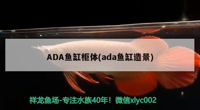 ADA魚缸柜體(ada魚缸造景) 廣州祥龍國際水族貿(mào)易