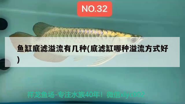 魚缸底濾溢流有幾種(底濾缸哪種溢流方式好) 水族維護服務（上門）