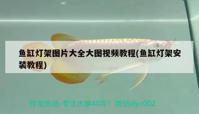 魚缸燈架圖片大全大圖視頻教程(魚缸燈架安裝教程)