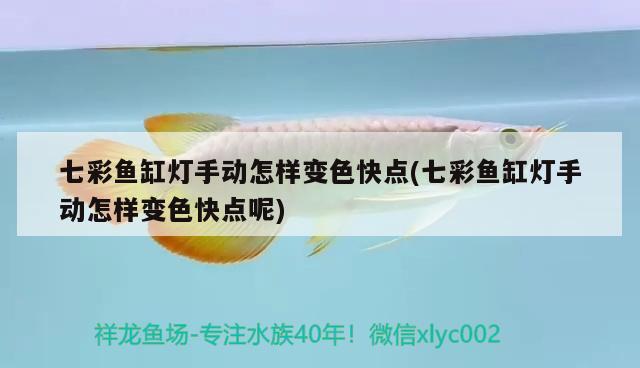 七彩魚缸燈手動(dòng)怎樣變色快點(diǎn)(七彩魚缸燈手動(dòng)怎樣變色快點(diǎn)呢)