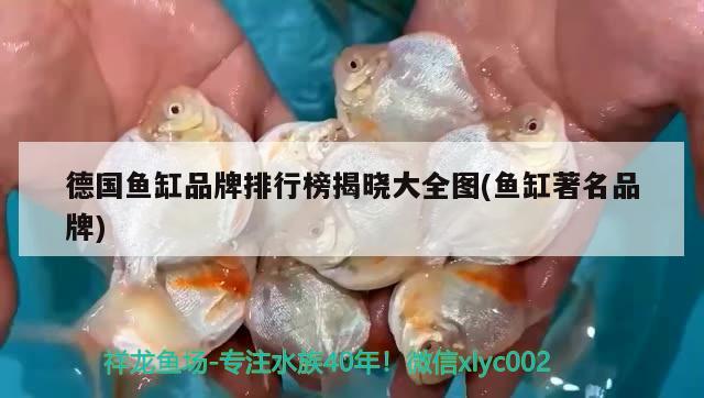 德國魚缸品牌排行榜揭曉大全圖(魚缸著名品牌)